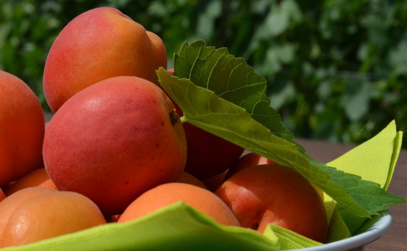 Les abricots du Valais
